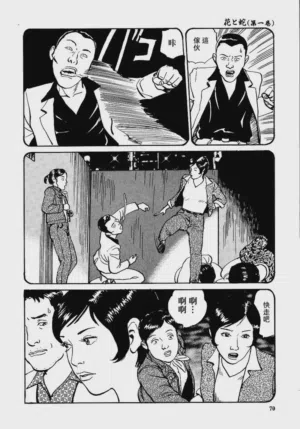 第76頁圖