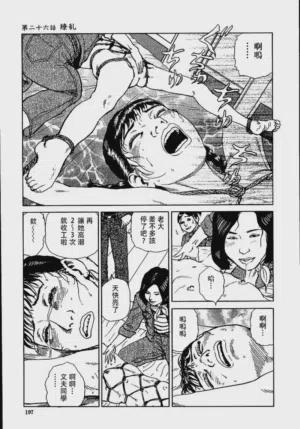 第203頁圖