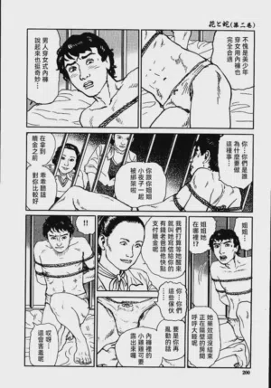 第206頁圖