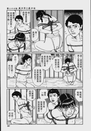 第213頁圖