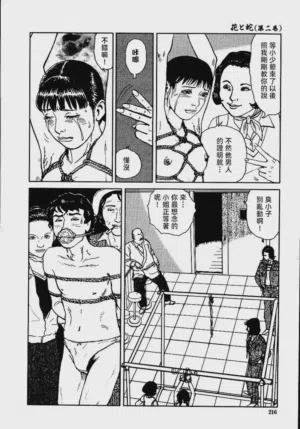 第222頁圖