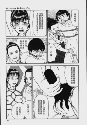 第229頁圖