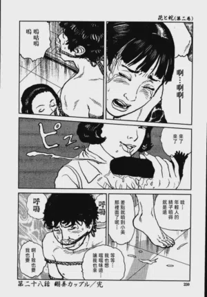 第236頁圖