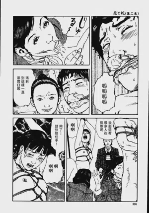 第244頁圖