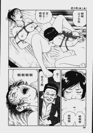 第246頁圖