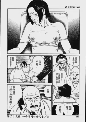 第252頁圖