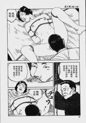 第28頁圖