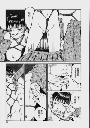 第41頁圖