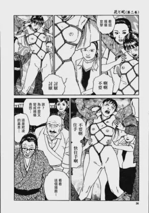 第42頁圖