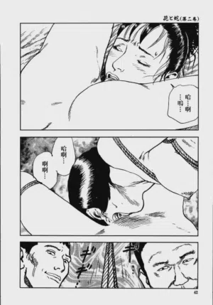 第48頁圖
