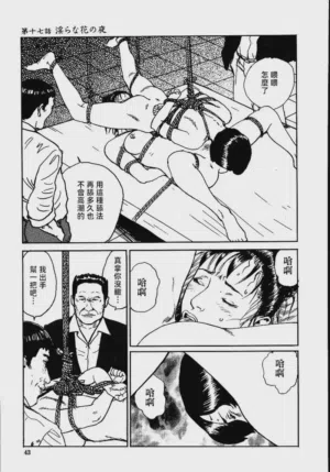 第49頁圖