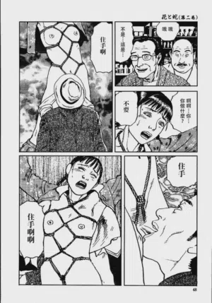 第54頁圖
