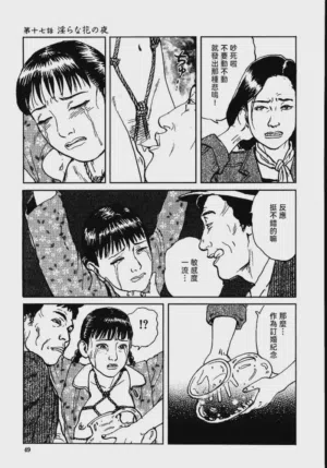 第55頁圖