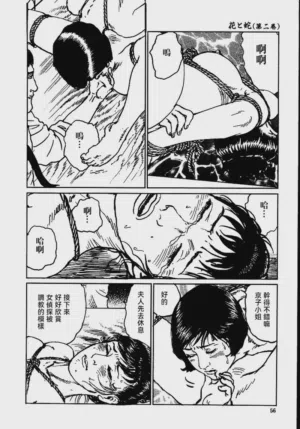 第62頁圖