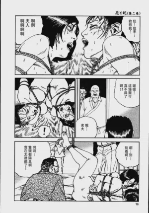 第84頁圖
