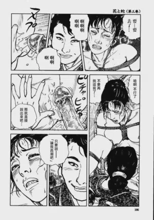 第112頁圖