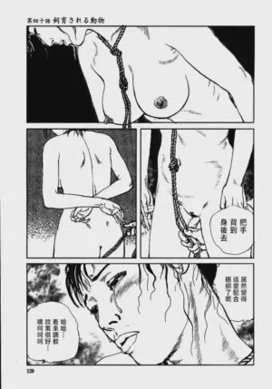 第135頁圖