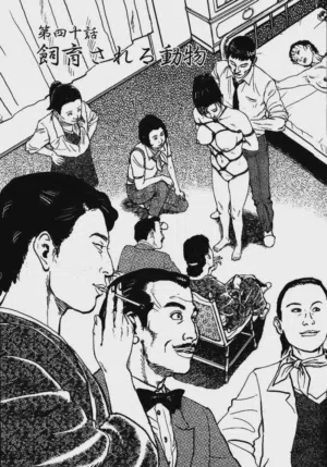 第137頁圖
