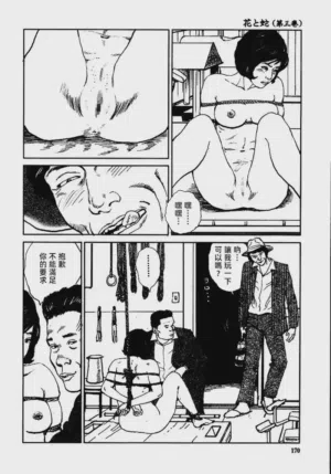 第176頁圖