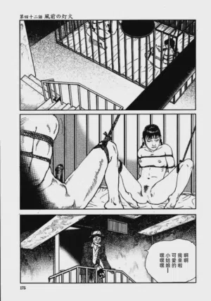 第181頁圖