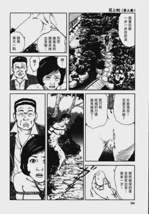 第190頁圖