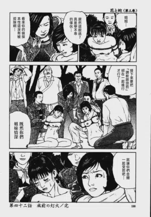 第194頁圖