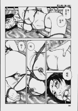第216頁圖
