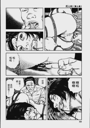 第218頁圖