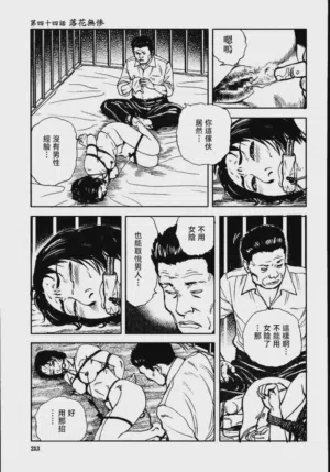 第219頁圖