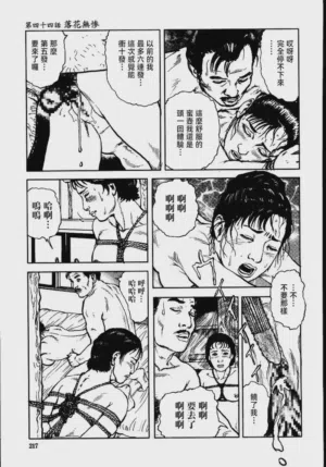 第223頁圖