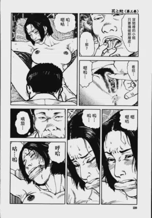 第226頁圖