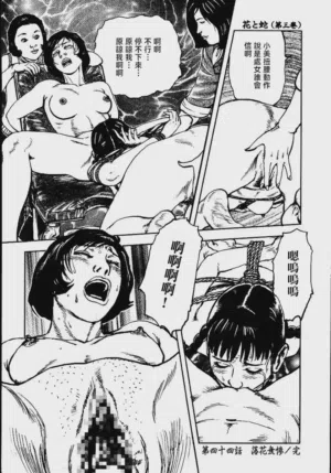 第228頁圖