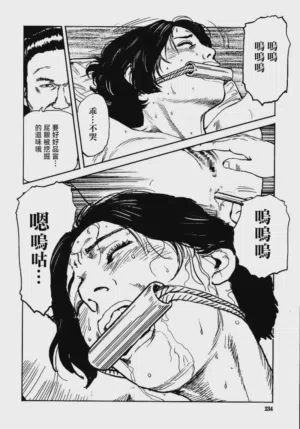 第240頁圖