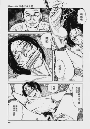 第241頁圖