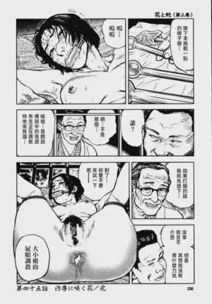 第242頁圖