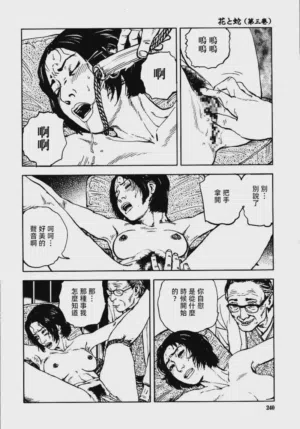 第246頁圖