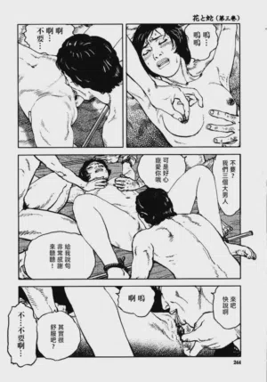 第250頁圖