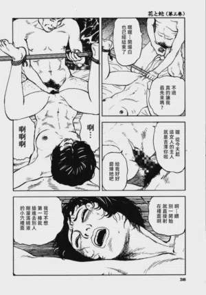 第252頁圖