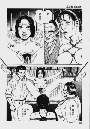 第272頁圖
