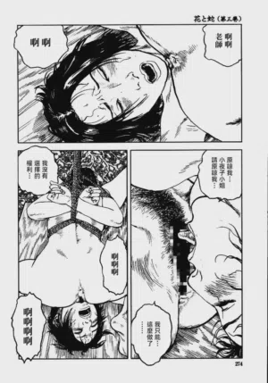 第280頁圖