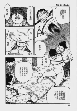 第284頁圖