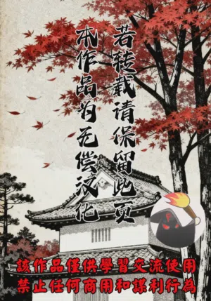 第295頁圖