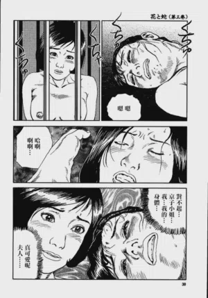 第36頁圖