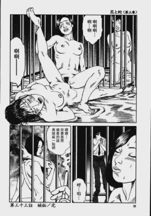 第38頁圖