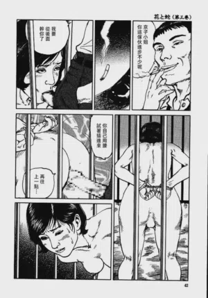 第48頁圖