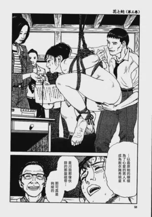 第64頁圖
