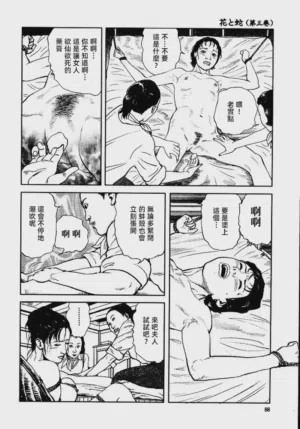 第94頁圖