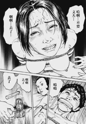 第223頁圖
