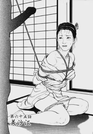 第246頁圖
