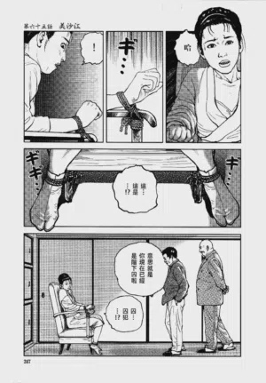 第250頁圖